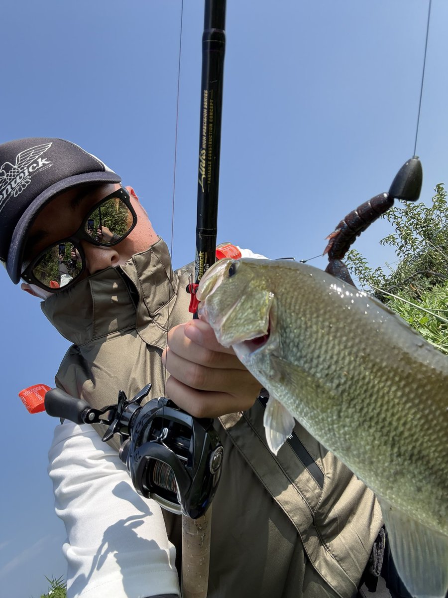 d_studio_2023's tweet photo. テキサスフィッシュ！

タックルデータ
ロッド: Fenwick Links 72C H P+j heavy duty special
リール: daiwa TATULA SV TW 7.2 L
LINE: daiwa ＵＶＦフロッグデュラセンサー×８＋Ｓｉ２　４９ＬＢ（＃３）
ルアー: OSP DoLiveBeaver 3.5" スカッパノンブルーフレーク

#fenwick #tiemco  #osp  #霞探r https://t.co/QgRAH4qExM