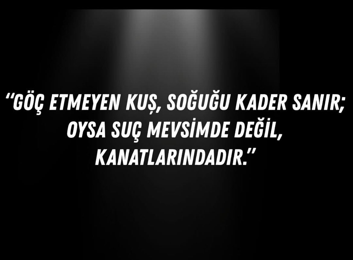 çetin (@kosece) on Twitter photo 