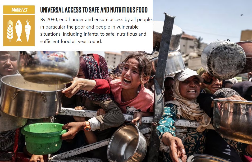 M. Mahdi Salehi tweet media