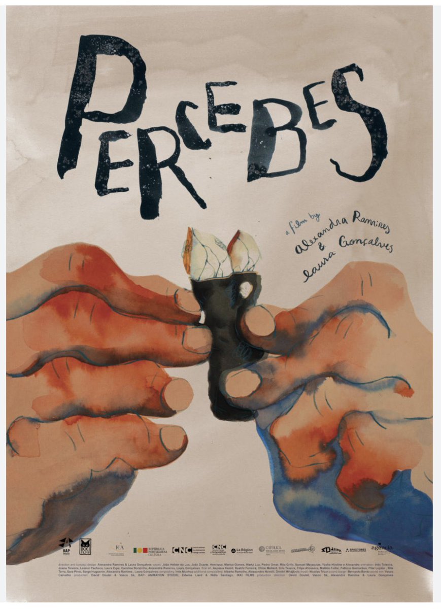 Cándido tweet media