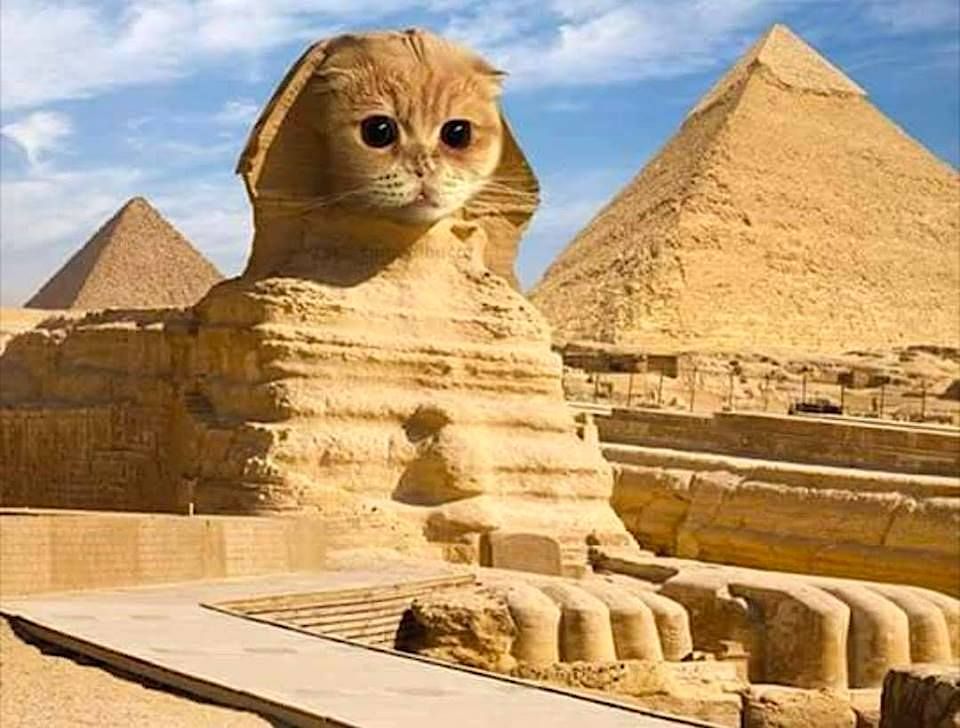 Bonjour Twitter