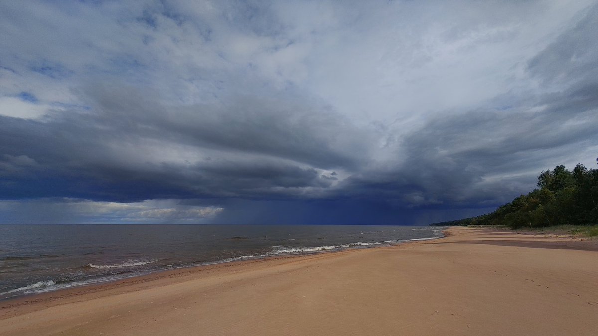 Uz aci izskatās, ka Salcgrīvā vai Ainažos kārtīgs sēņu lietus nolaidies 🫣
