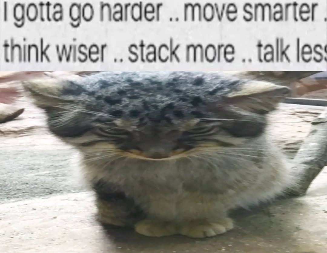 DailyMantle tweet media