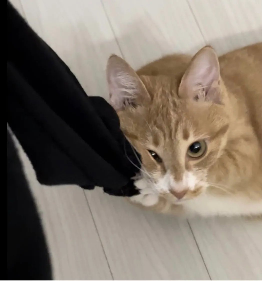 짤주워오는계정 tweet media