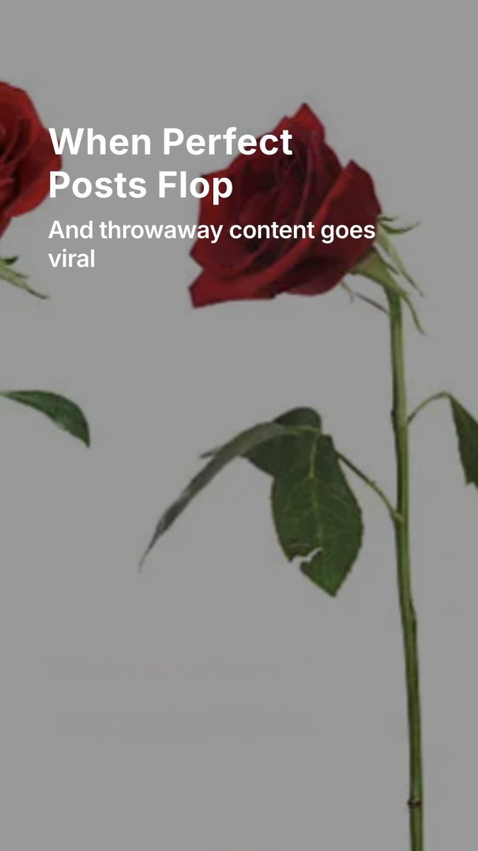 Spent ages on a post and it flopped?

Meanwhile the rushed one from last week gets all the love?

Grab my 4-point Killer Content Checklist for Hosts &amp; STRs—and post with confidence every time.

thesocialmediahotelier.com/article/1707394