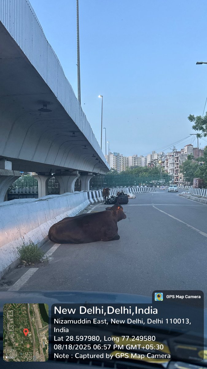 rajasingh098's tweet photo. Every day in Kotla Mubarak Pur (South Delhi) I see cows tied on narrow streets, starving, injured, and left to wander after milking. 💔

They deserve love &amp; care, not cruelty and neglect. 🐄
Their pain is visible, yet ignored.

#Delhi #AnimalRights #YehKarKeDikhao https://t.co/H7sipWnaDB