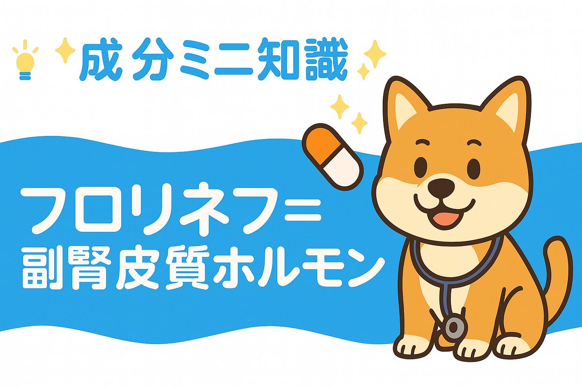 petkusuri's tweet image. 💡成分ミニ知識💡
フルドロコルチゾン（フロリネフ）は、
副腎皮質ホルモンの一種で、体内のナトリウムやカリウムのバランスを調整します。
犬のアジソン病（副腎皮質機能低下症）の安定管理に欠かせないお薬です🐶

▶こちらからチェック👇
petkusuri.com/?gasearch=tag&amp;amp;…
#犬の健康 #アジソン病 #通年ケア