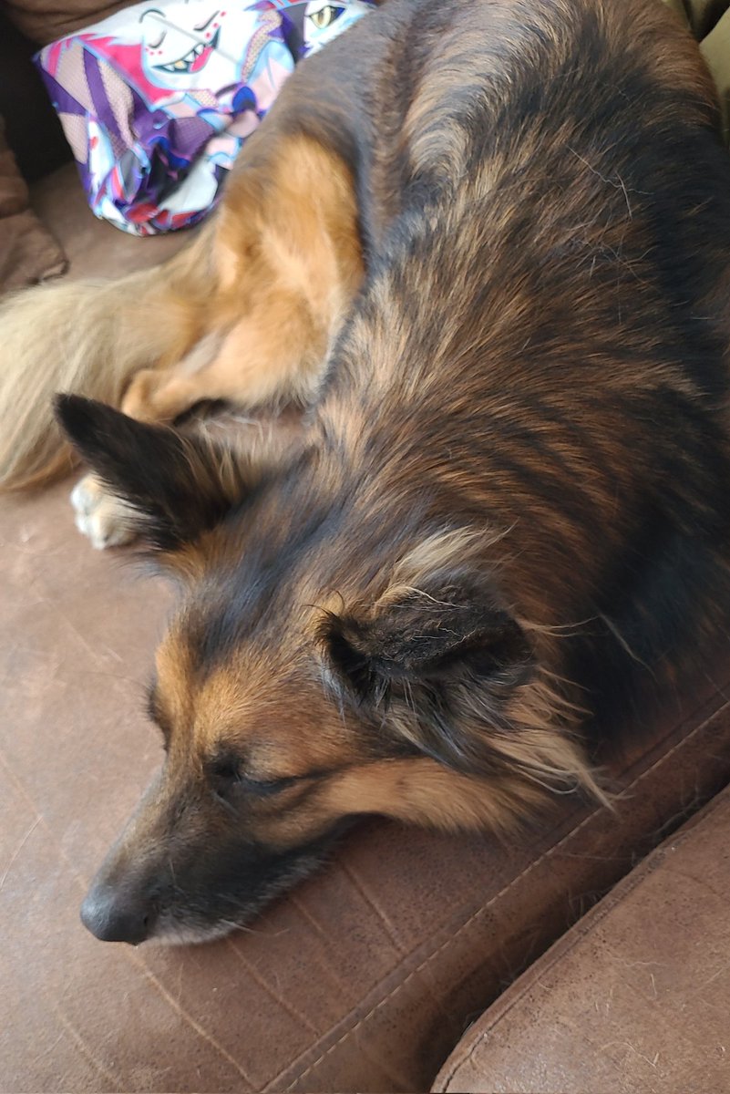 mimikii | 🖌👻🖤 tweet media