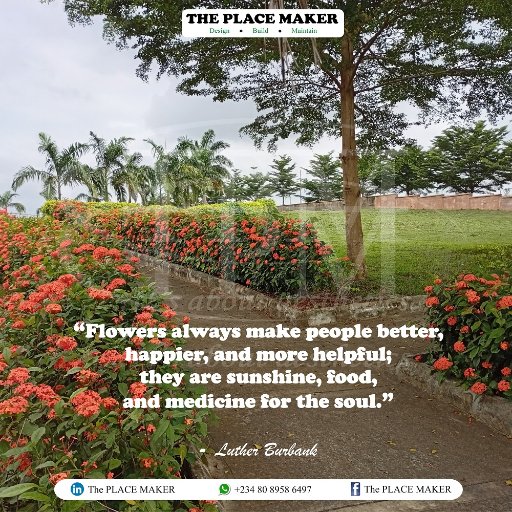 Dplacemaker's tweet photo. #Flowers are not just aesthetically pleasing, but also have a therapeutic effect on our minds and spirits.
At The PLACE MAKER, we provide services for the design and construction of Parks and Gardens.
#NatureInspires #GreenSpaces
#GardenofEden
#DesignForHealth #Horticulture https://t.co/bRXDZZAMpc