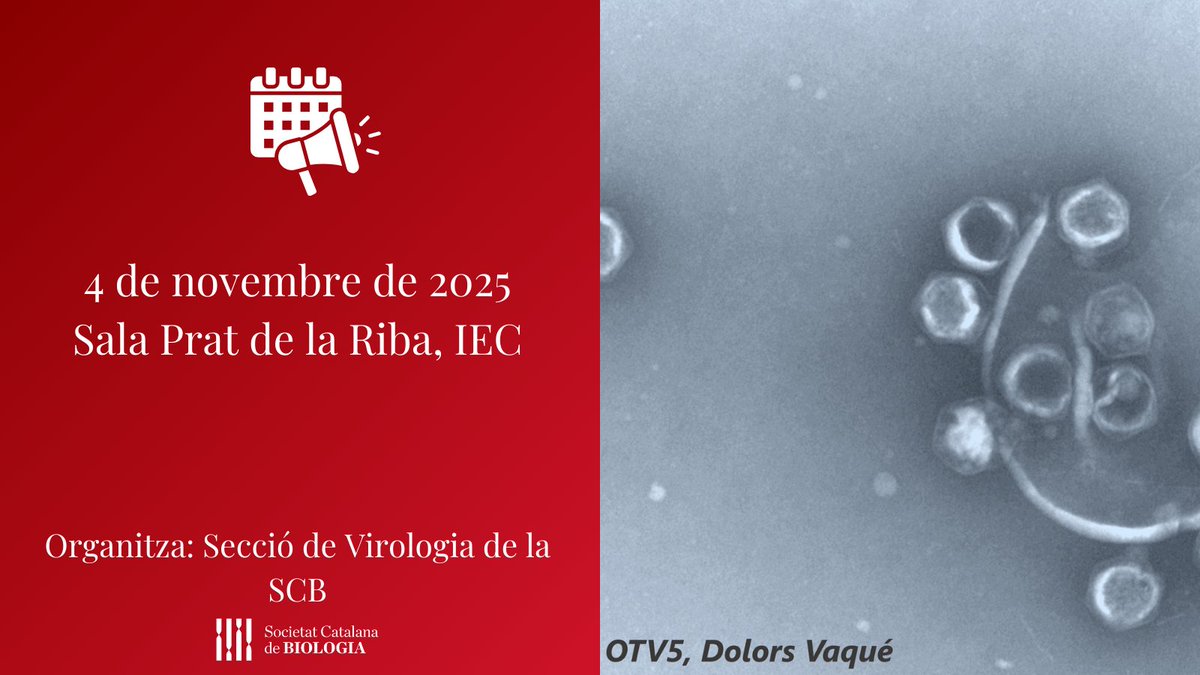 Arriba la XXIV #Jornada de Virologia amb conferències, resultats de recerca i debats! També hi haurà l’atorgament del Premi a la Millor Tesi Doctoral 🥇

Data límit presentació de resums: 30/9/25

🔗Per a més informació i inscripcions: tuit.cat/9KB7J

#Virologia #Premi