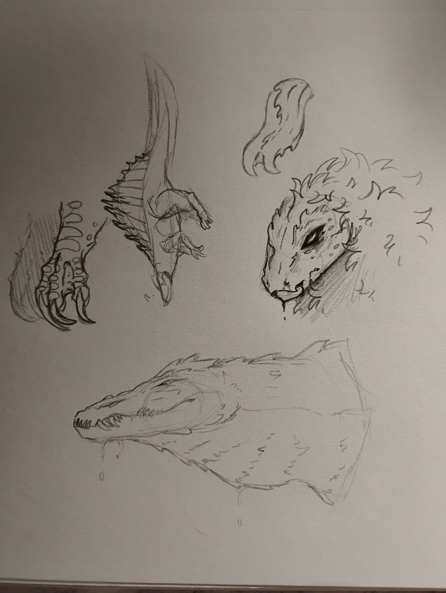 unstablehalf's tweet photo. Been playing pot a lot over my vacation and ended up finally joining a server, these are some of the dinos I've been playing as. 
Conc, dasp, spino, Utah https://t.co/sLgObpcisW
