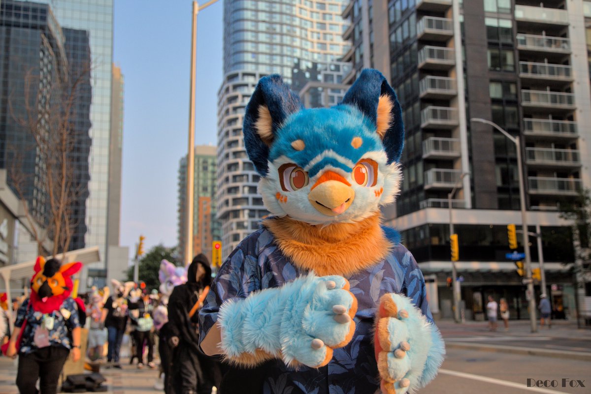 It's bird hours!

#Canfur2025

📷 <a href="/DecoFox2/">Deco Fox</a>