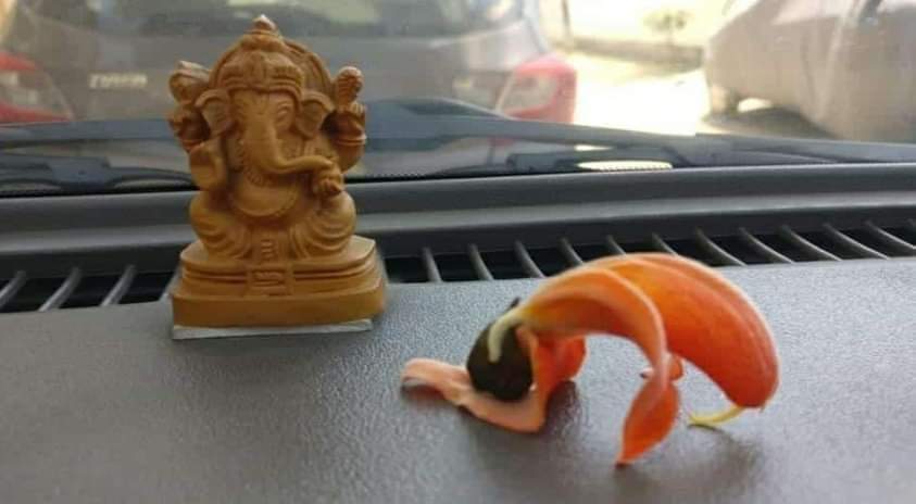 यह पलाश का पुष्प है, संस्कृत में जिसे किमसूक पुष्पम् कहते हैं। इसकी अद्भुत शोभा यह है कि मानो यह ईश्वर के चरणों में साष्टांग प्रणाम कर रहा हो। गज़ब का अनुपम दृश्य! ❤