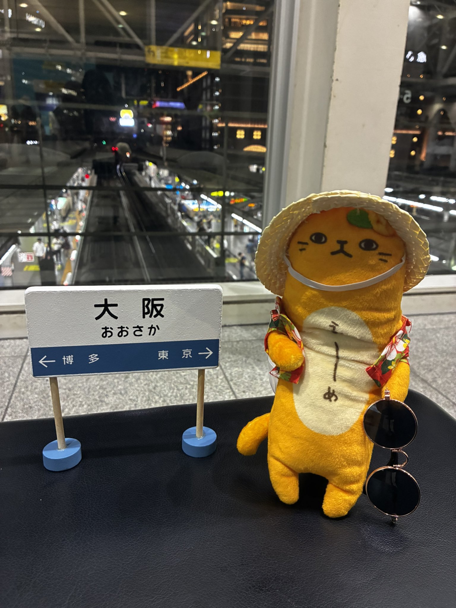⭐︎まねくねこ⭐︎のびねこ山梨4種6個 のびねこシリーズ しか | 野澤作蔵商店 nozawasakuzo_shoten
