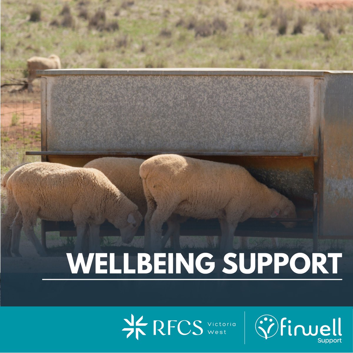 Even the good farmers have hard days

Drought, floods, price drops, rising costs — it adds up.

Your wellbeing matters. And you’re not alone.

Free, confidential support from RFCS Victoria West is just a call away

☎️ 1300 735 578
bit.ly/4eDKpjx

In an emergency call 000