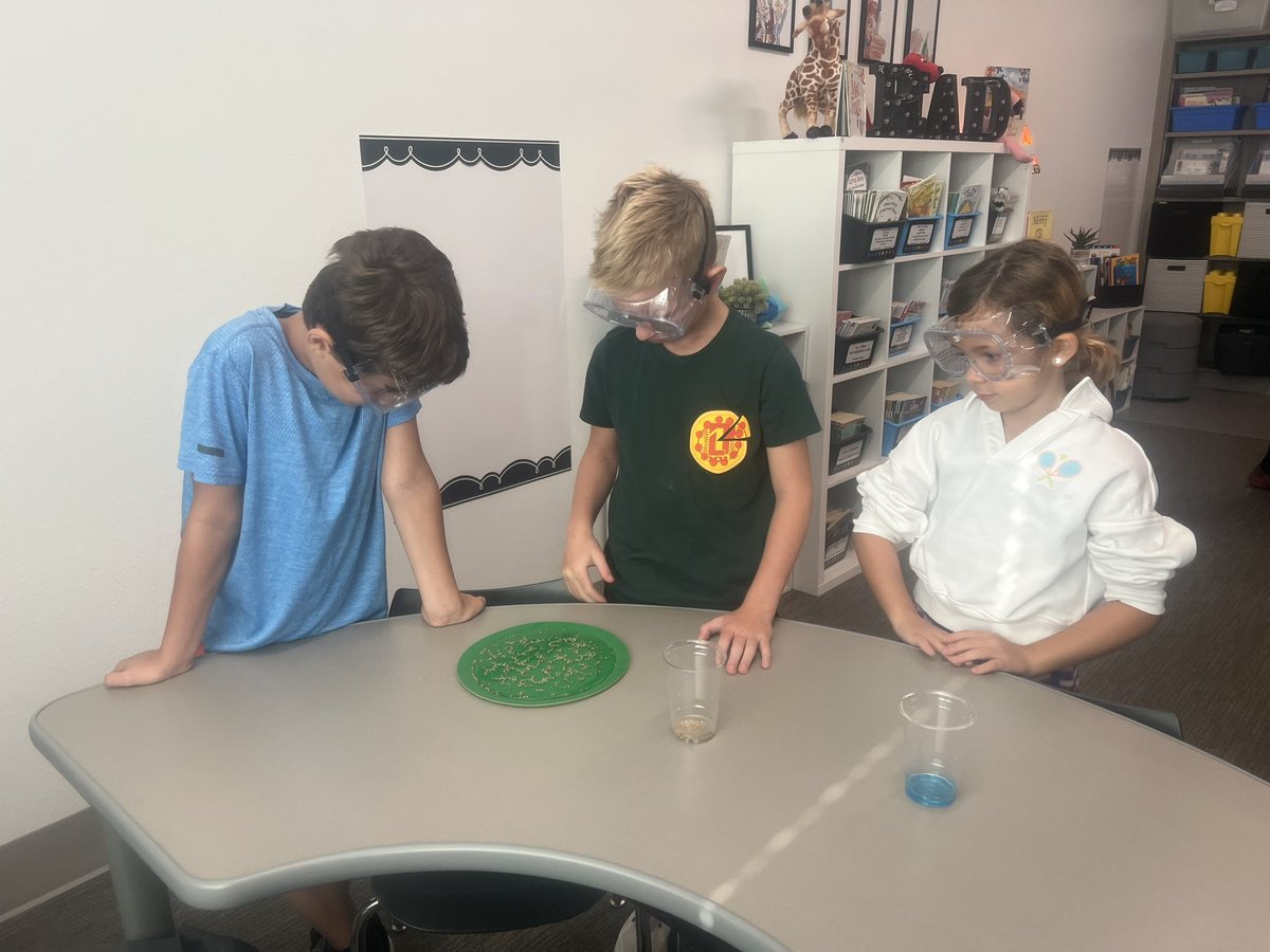 parisin3rd's tweet photo. Mrs. Paris's 3rd graders designed and constructed an experiment to explore germs and recorded our findings in our science journals, just like Marie Curie! #Togetherwegrow @ThomsonElem https://t.co/3nTbyANyEo
