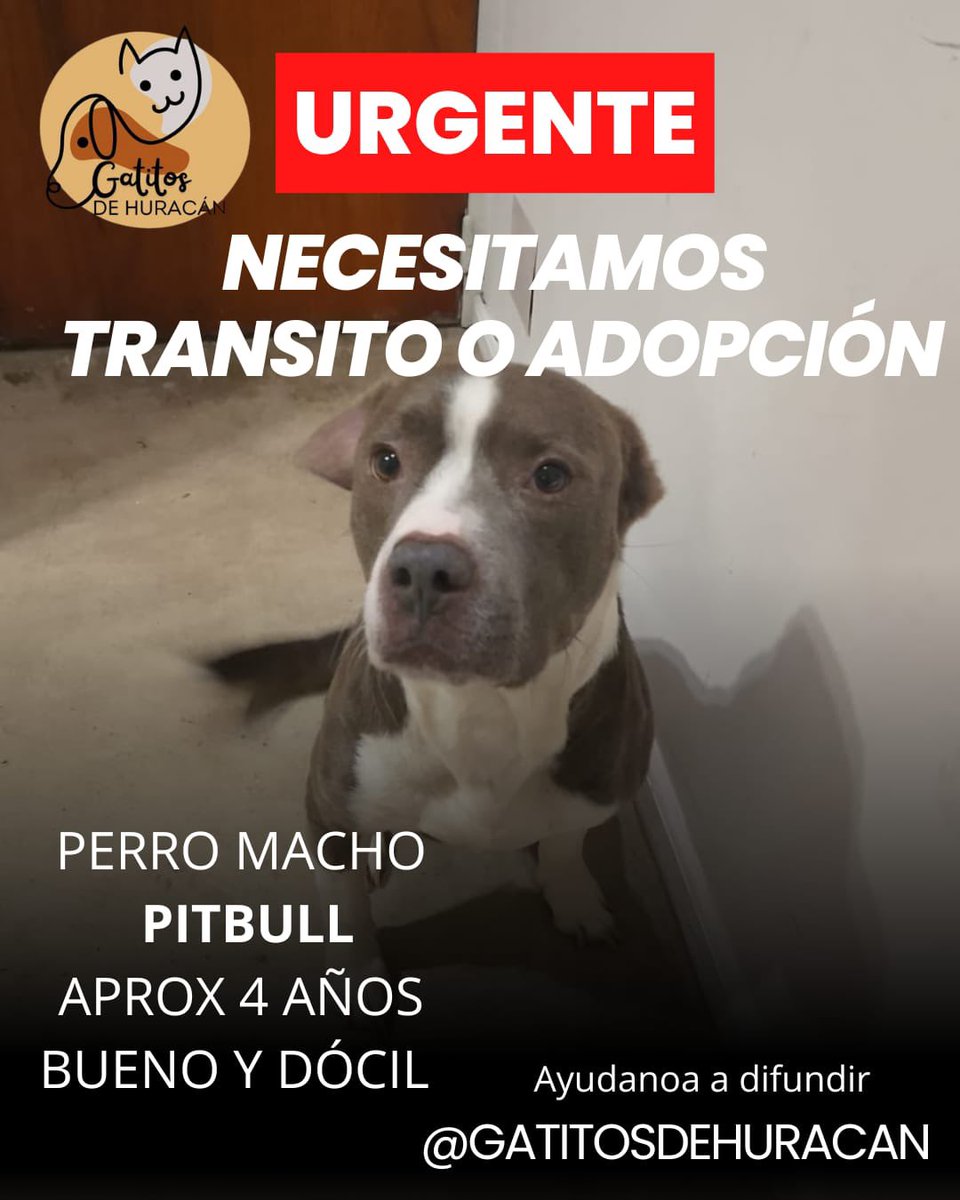 <a href="/lagarzasosa_/">Puchi</a> <a href="/JungParkAR/">Jung Park</a> que circule 🙏🏻