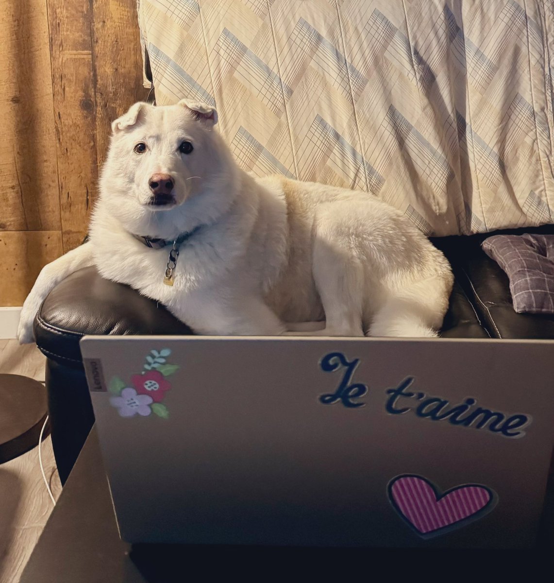 sadie_424's tweet photo. Mom tried to sit in dad’s spot and use her computer to do stuff related to WORK. 🏫
I had to remind her she is still on vacation and to quit that nonsense!! 🍎 #Teacher #ContractTime #BackToSchool https://t.co/doVFicsAGI