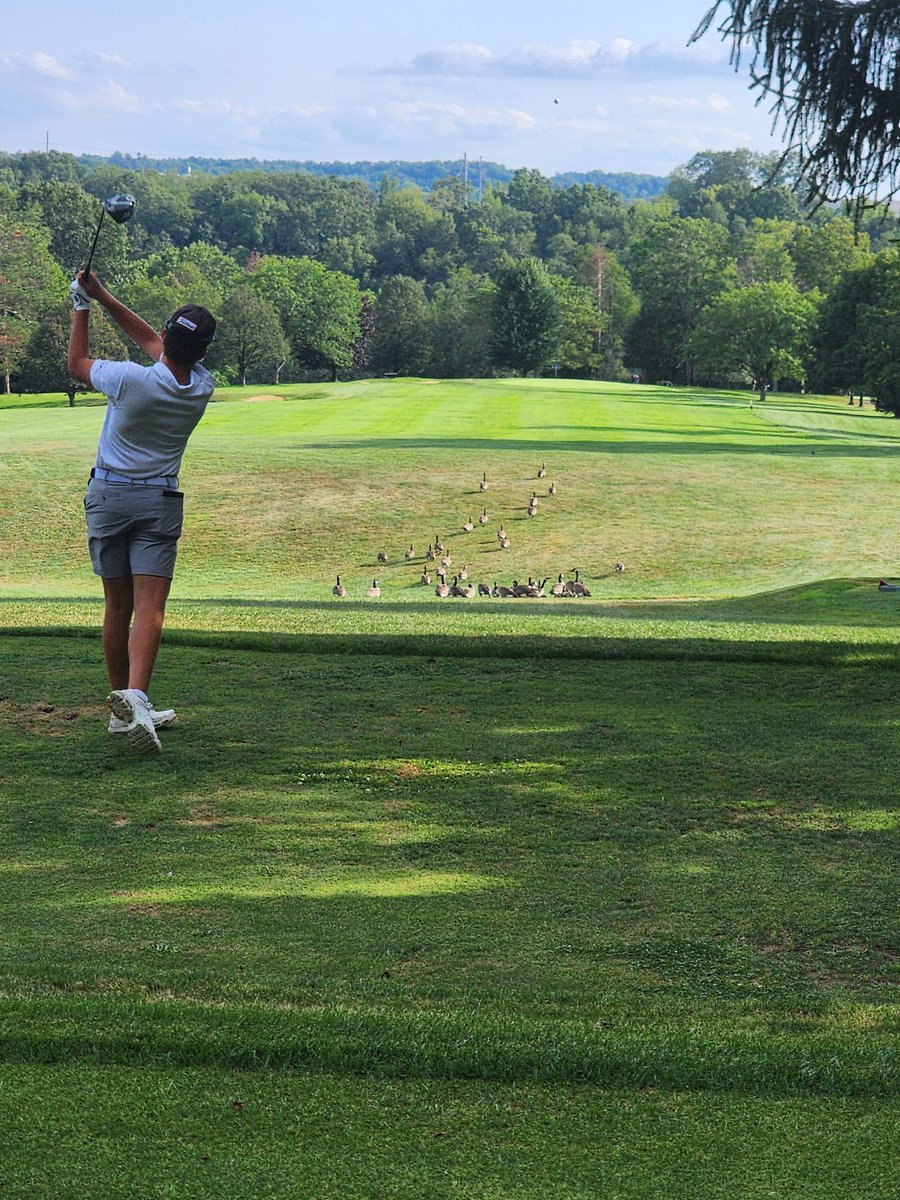 Dover Golf Team tweet media
