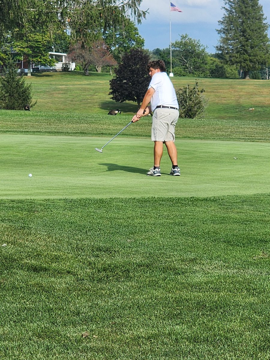Dover Golf Team tweet media