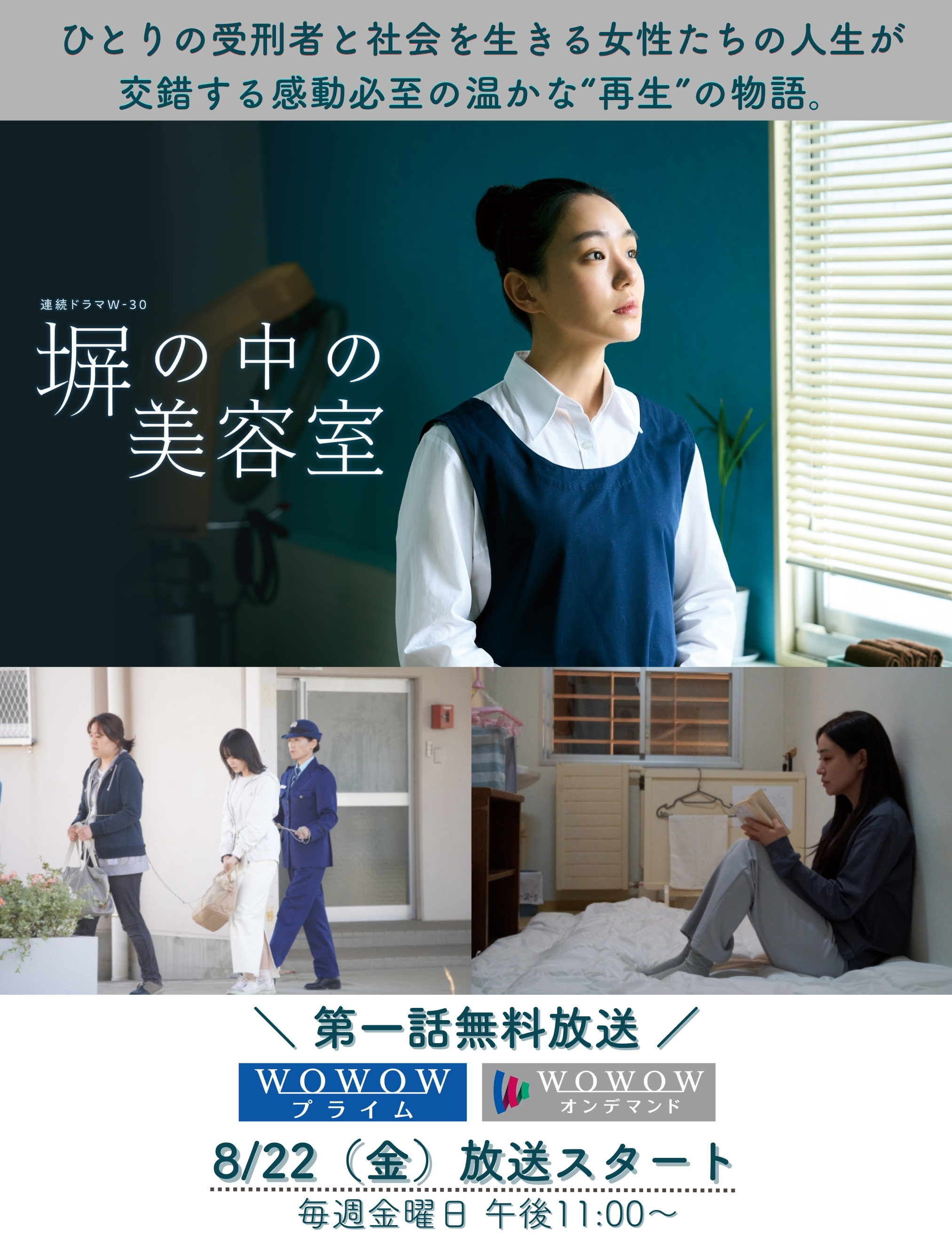 連続ドラマW 夢を与える〈2枚組〉 連続ドラマW 夢を与える〈2枚組〉 Amazon.co.jp: 連続ドラマW 夢