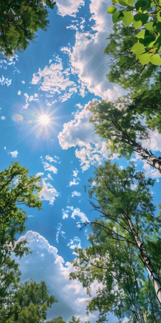 Hasnain Riaz (Official) tweet media