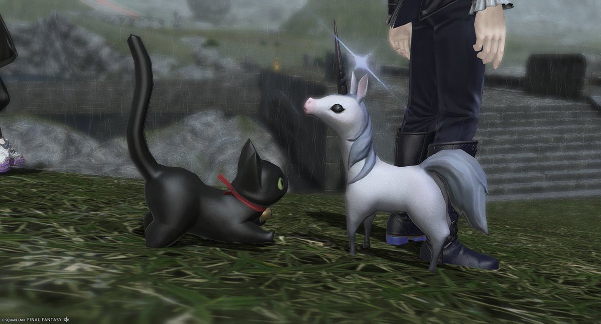 これは概念👑🐈です
何故👑がユニコーンなのかは察してくれよ