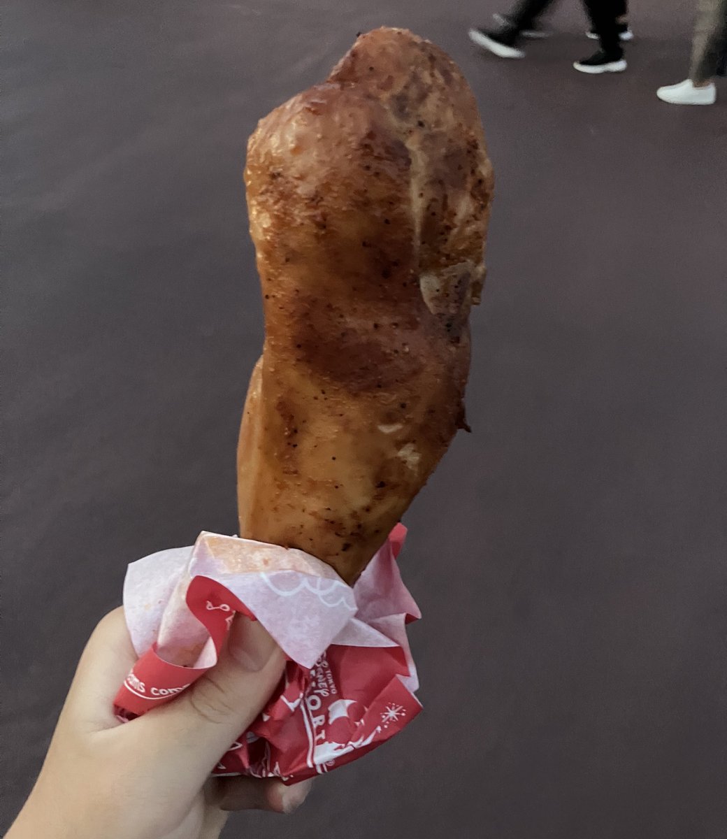 ディズニーランド行ってきました🐭✨
なんか今スプラッシュマウンテン水増量中で
めっちゃ濡れたけど楽しかった！！

いい思い出も作れたという事で！
これからまた動画編集とデザイン。頑張ります👹
 
あ、あと旅行でもしっかり共食いは忘れません。