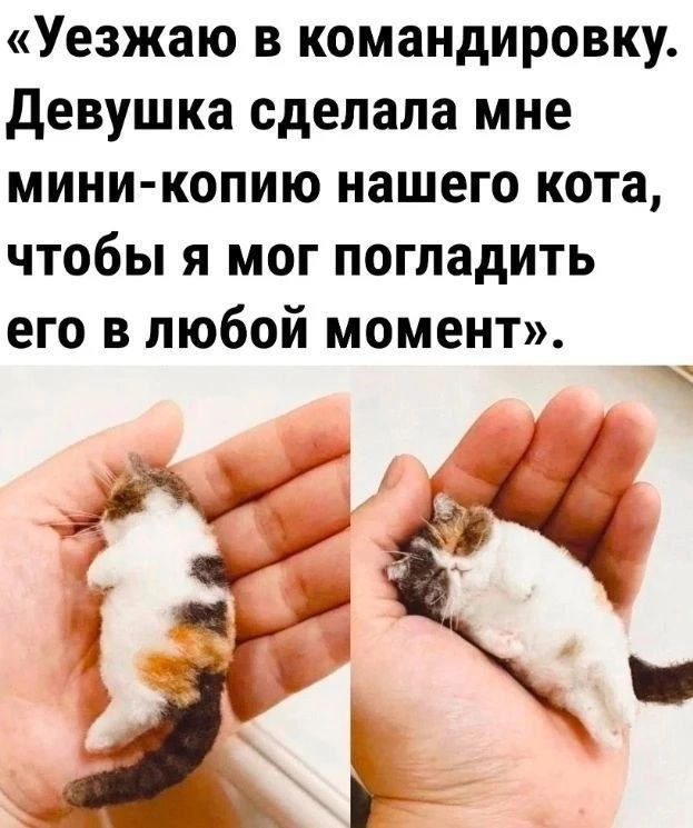 borsique's tweet photo. https://t.co/KHR6gSp7vQ