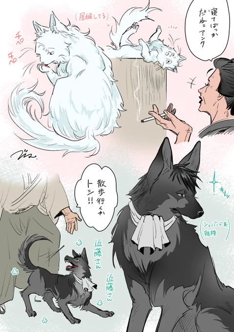 土銀でケモ妄想🐾 
