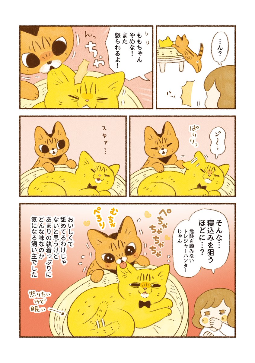 週休8日の猫吸い (@8VA64ArRkX7nOHE) / X