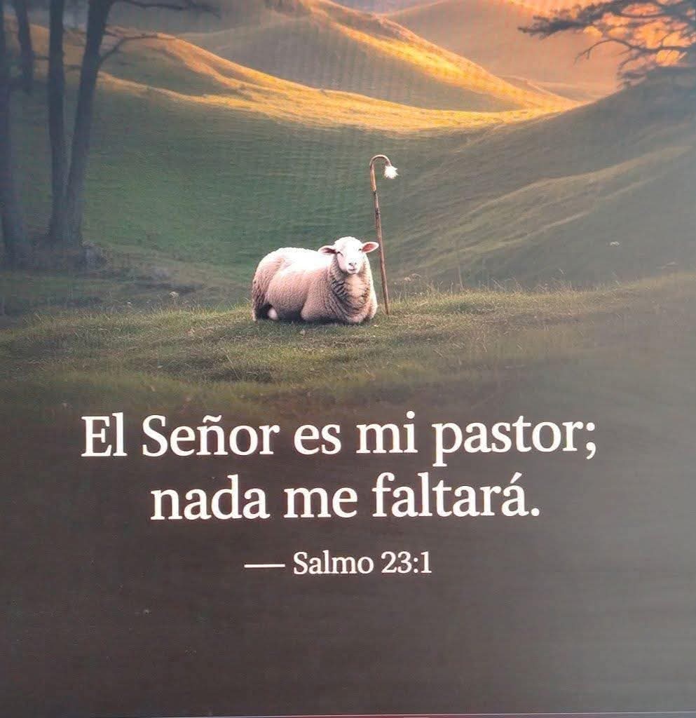 Maco_Rodas's tweet photo. Que descanses! https://t.co/eiY3GuaGSa