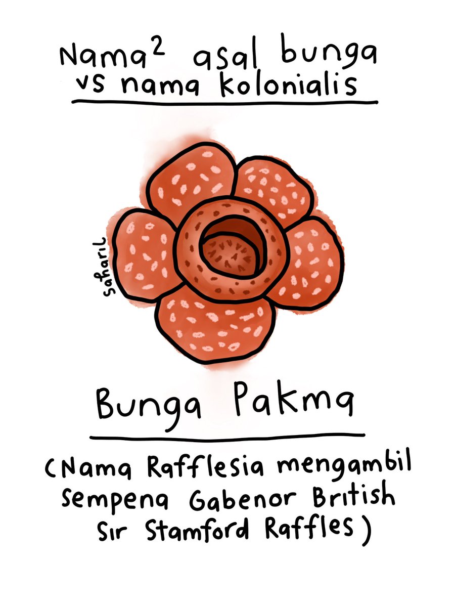 Saharil Conteng tweet media