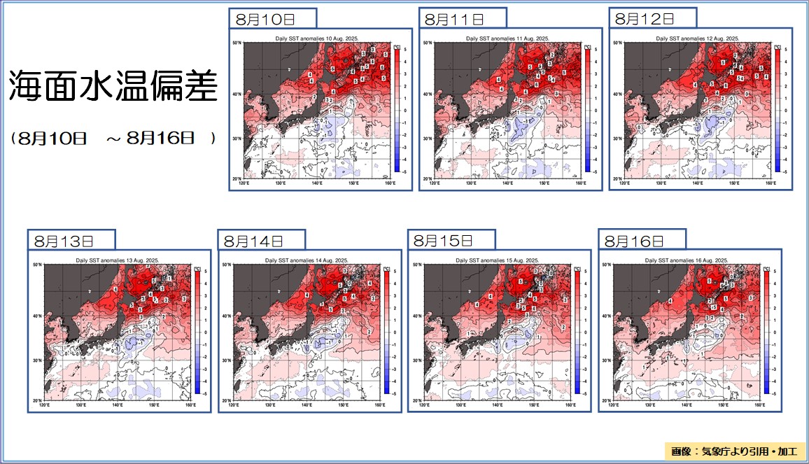 【北海道周辺で高い海面水温　平年より最大で6℃高く【#海洋のまとめ　2025年8月10日～16日】】
日本周辺の海面水温は平年と比べて北ほど高く、南ほど平年並みの海域が広がっています。オホーツク海や北海道南東方沖では海面水温が平年より最大で6℃も高くなって･･･
sunny-spot.net/topics/index_a…
