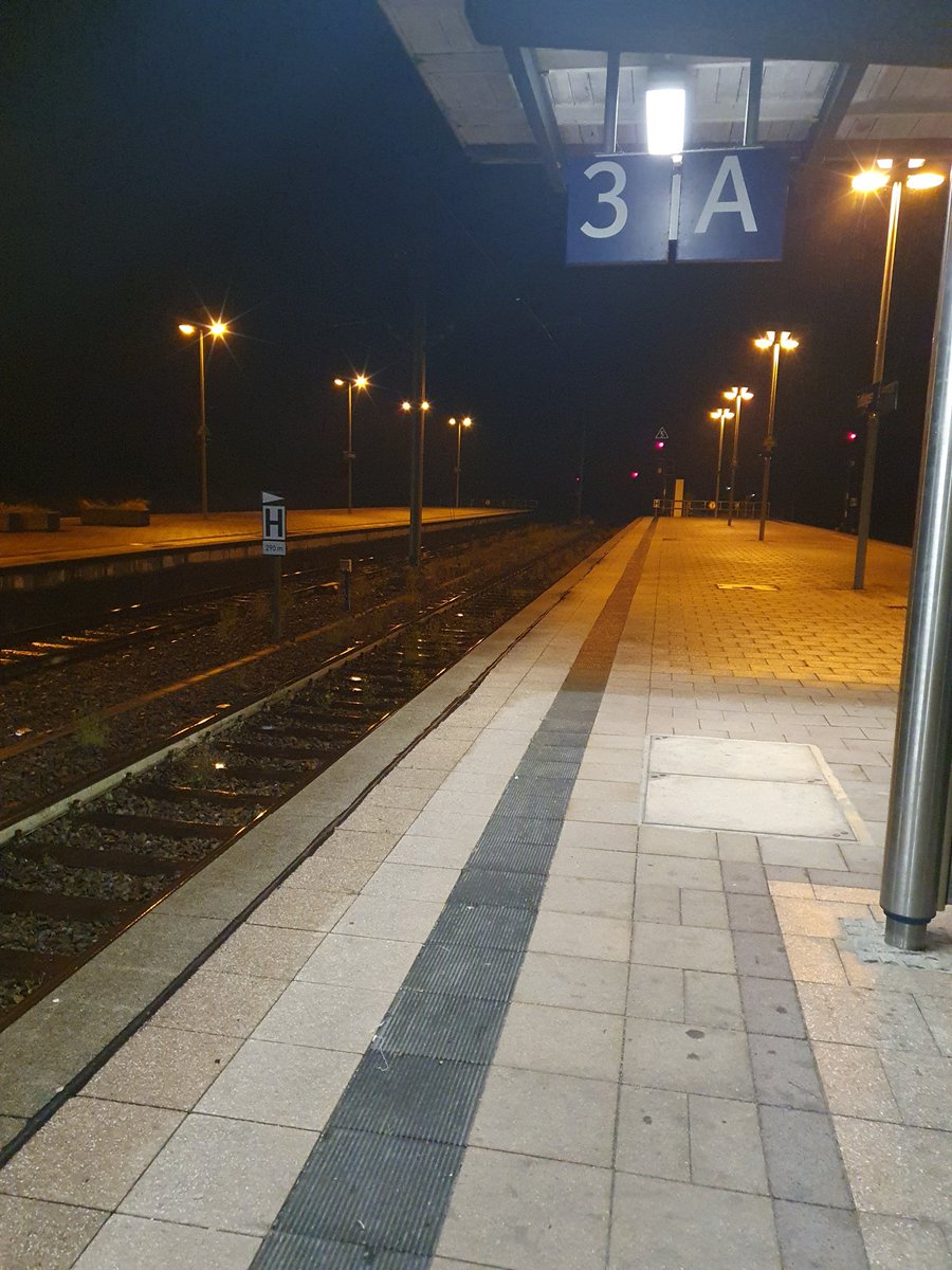 beYourself.or.beSquirrel tweet media