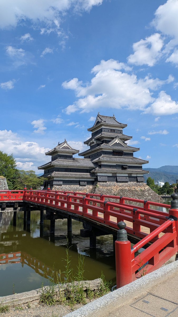 たんまる tweet media