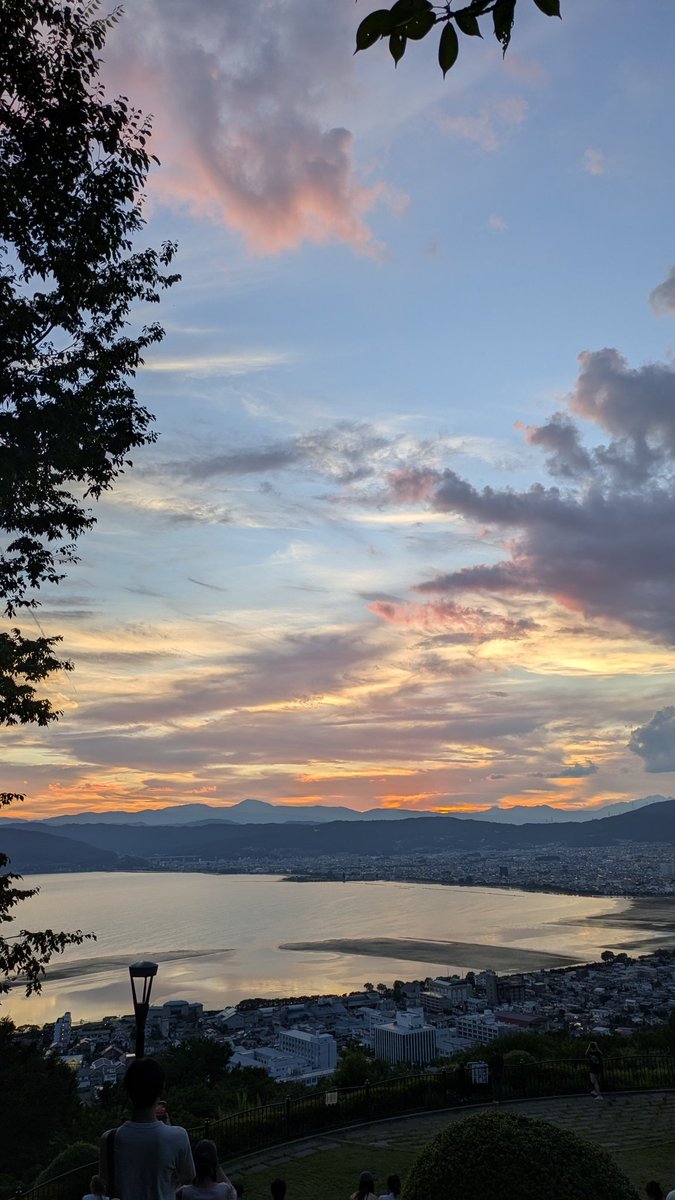 たんまる tweet media