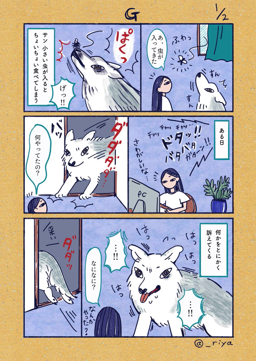 デカい狼犬との日常🐺

「G」
虫好きだけどこれだけは苦手 