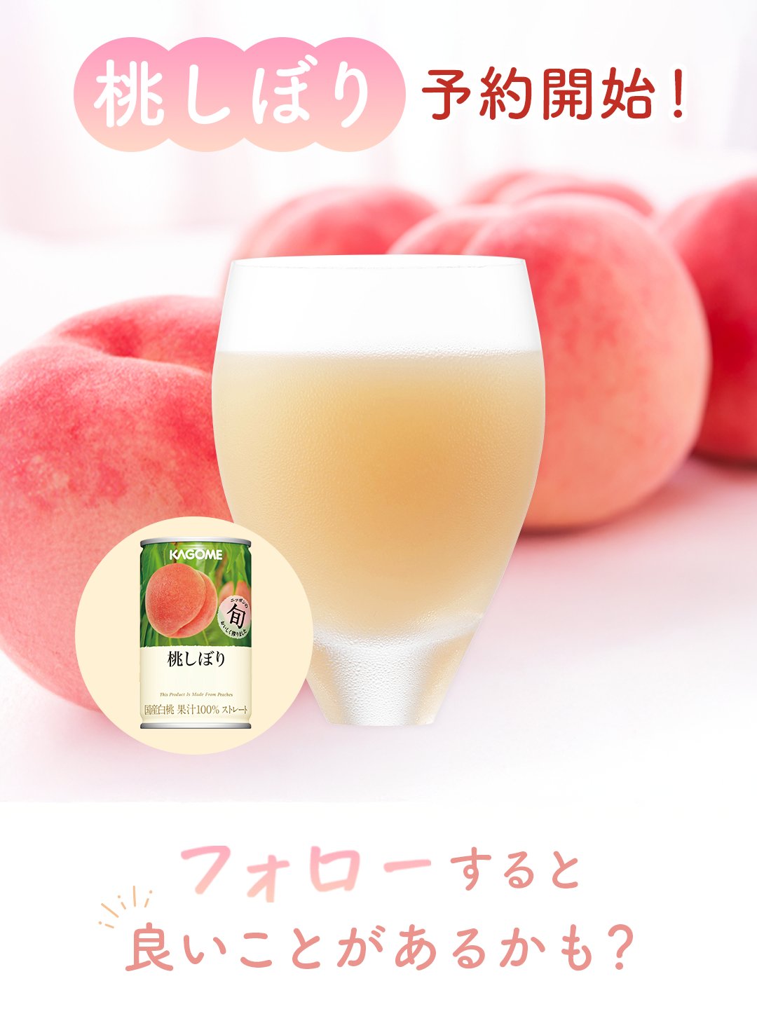 カゴメ 桃しぼり2024 60缶 賞味期限5月26日 桃しぼり(20本)｜旬の会ラインナップ ｜【カゴメの通販】カゴメ