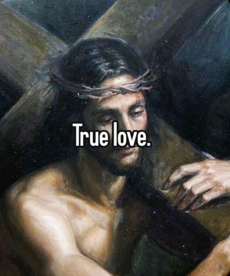 Catholic Quotes tweet media