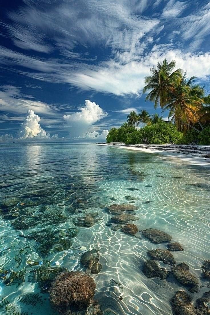 Beauty of Earth (@humansvisual) on Twitter photo 