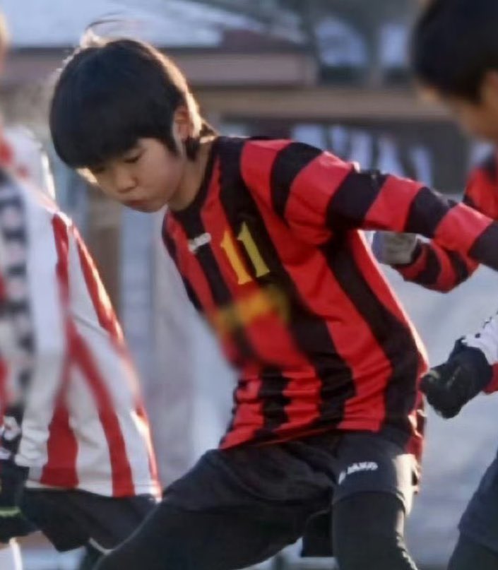 maverick tweet media