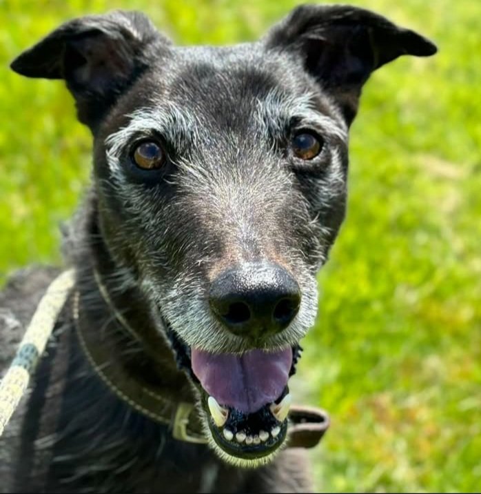 Please keep sharing Murphy 
🏡💚🏡