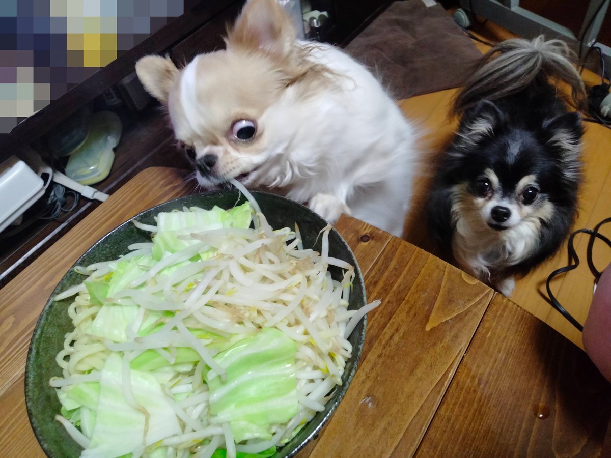 もやし泥棒。