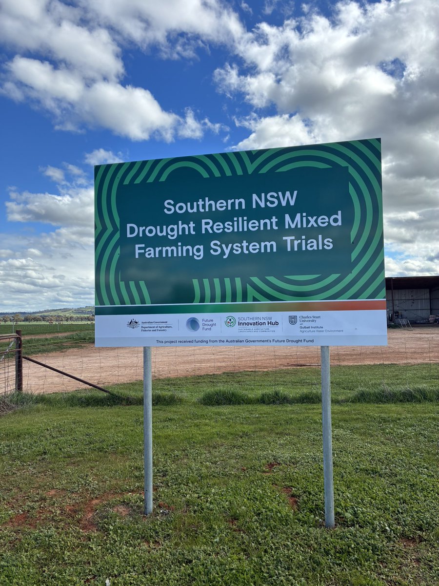 Jess Wyse tweet media