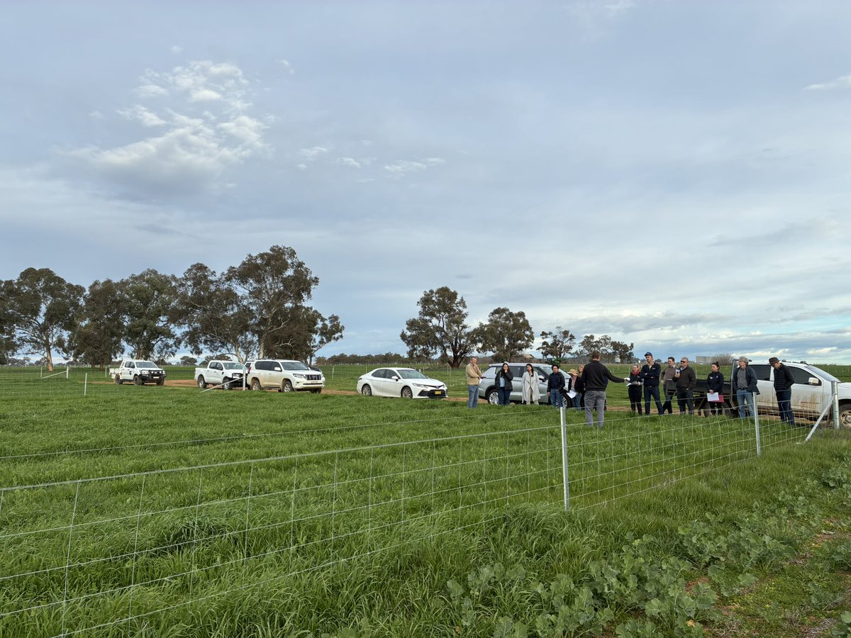 Jess Wyse tweet media