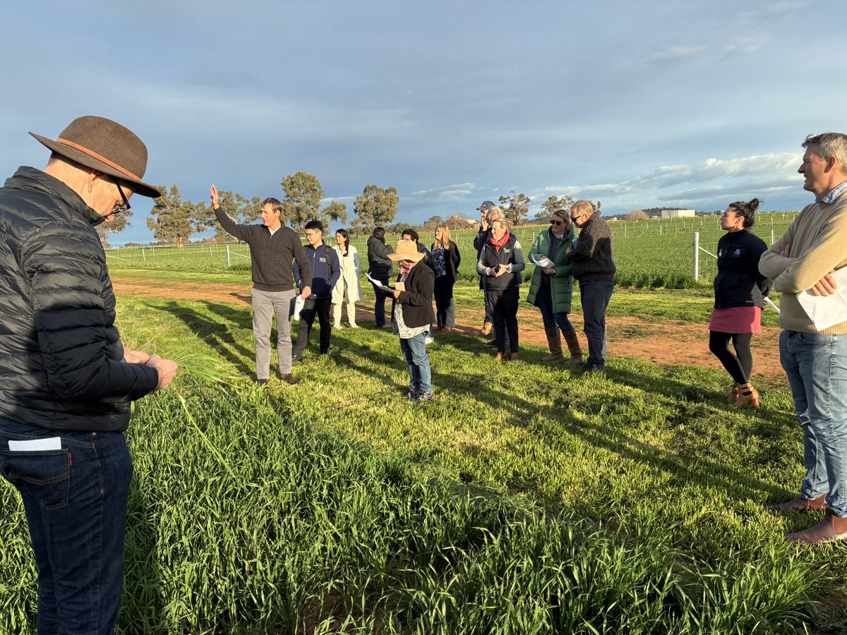 Jess Wyse tweet media