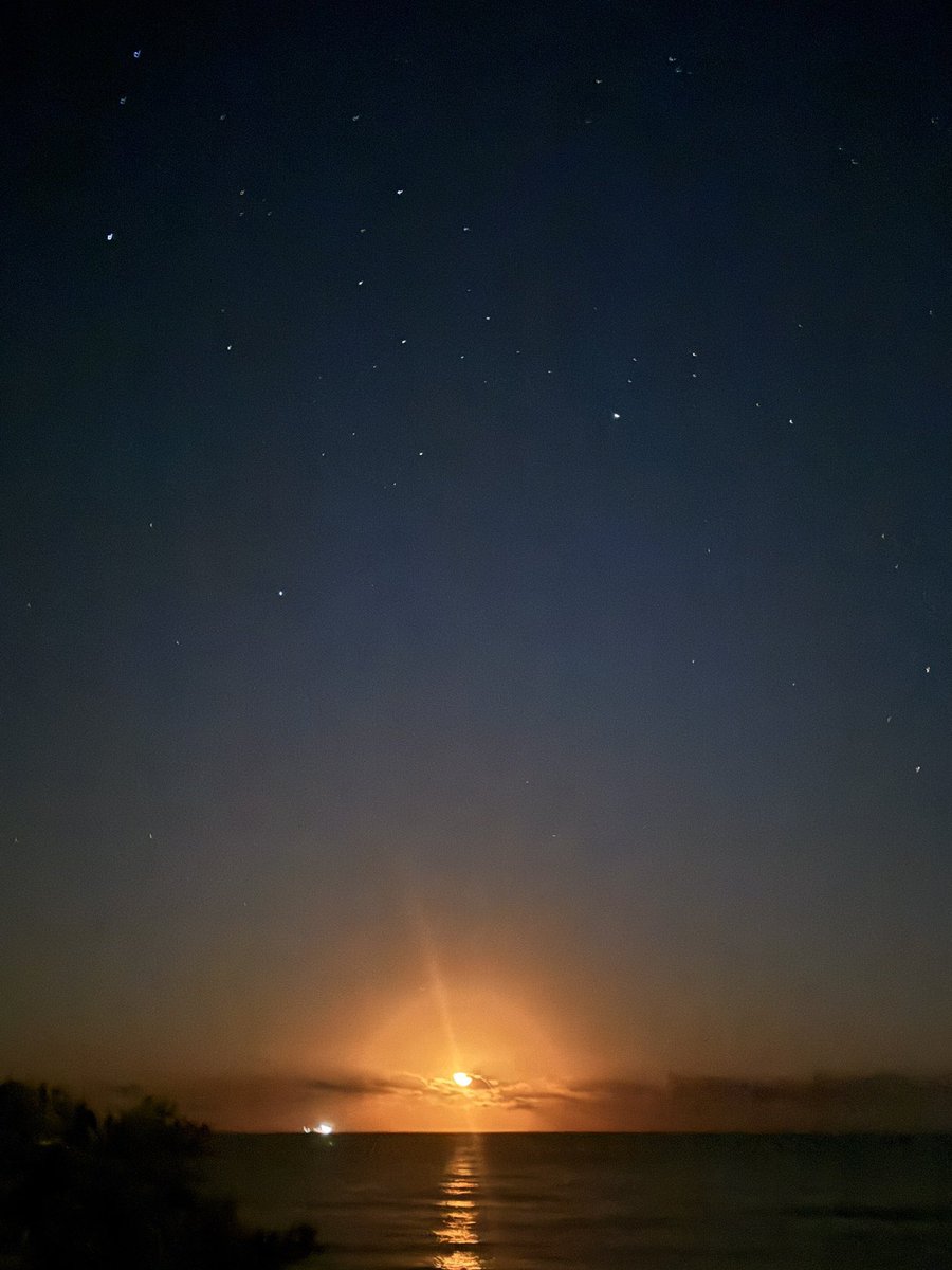 ✨全てに感謝できるようになると、不思議と物事はうまく回り出す。
ただ「心から感謝」するには、まず“当たり前”が当たり前じゃなかったと気づくことが大切。

海外で言葉が自由に使えないとき、その有り難さを実感できる。
そもそも日本のパスポートを持てていること自体が、感謝すべきこと。
