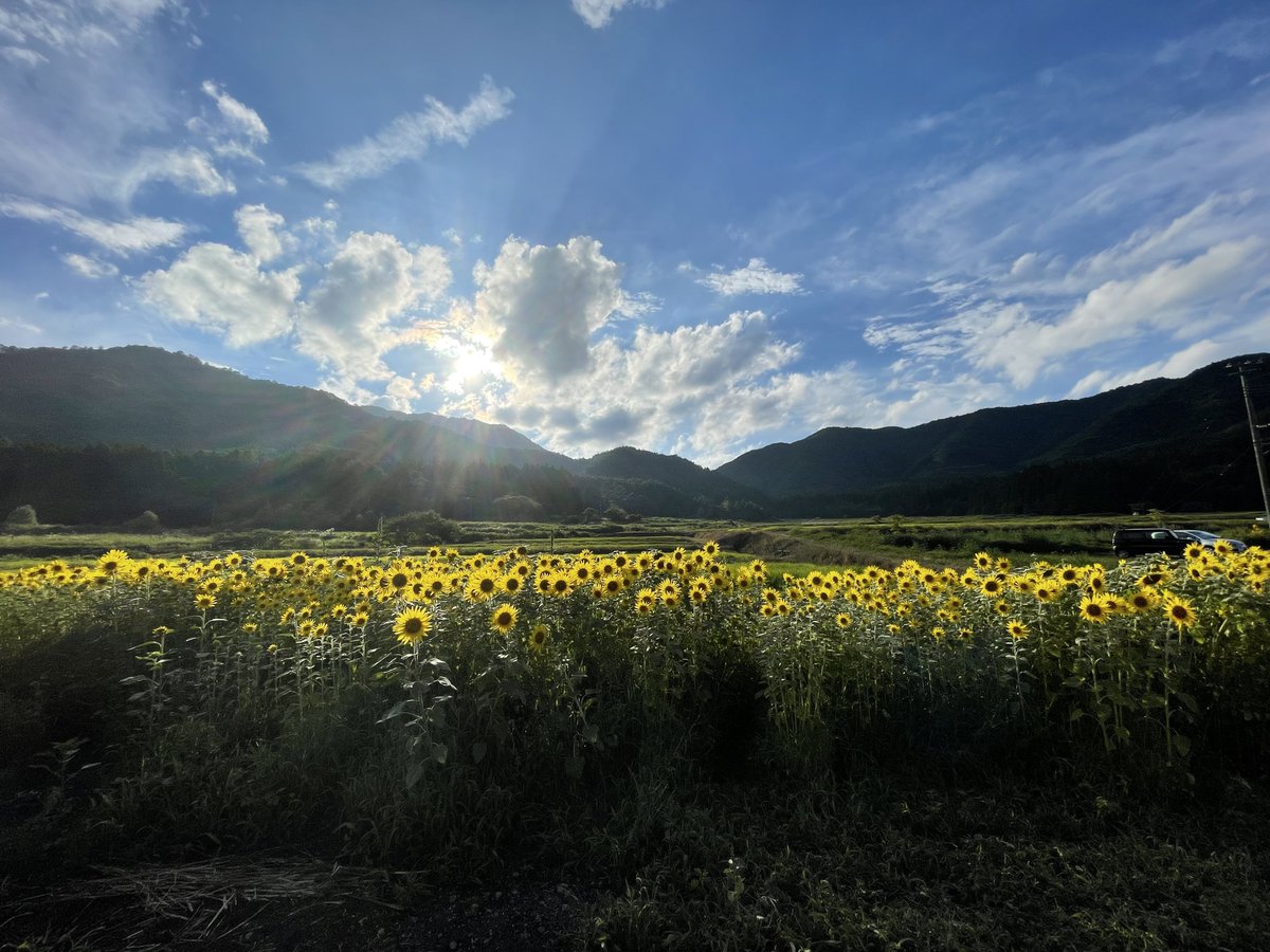 猫たんの生誕今週末です🐱
取り置き待ってます♡

こないだ猫たんから嬉しいことも聞けたから全力でお祝いしちゃうもんね！！

あ、ソロセトリヒント置いときます、、( .ˬ.)"