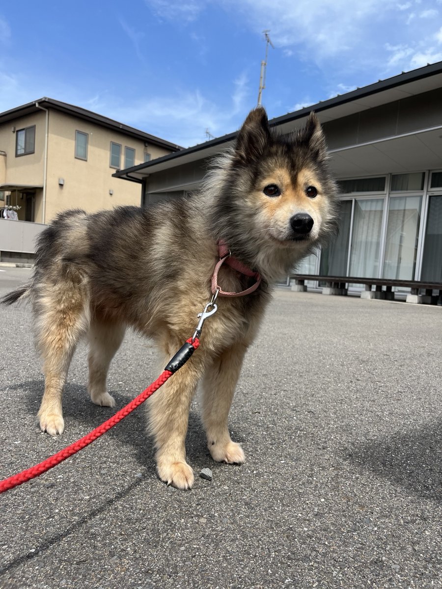 【動物の飼い方講習会及び譲渡会を開催します】
日時：令和7年8月24日（日）13時から講習開始（受付：12：30～13：00）
場所：和歌山市動物愛護管理センター
（和歌山市松江東3－2－63）
TEL：073-488-2032
※講習受講を希望される方は、13時までにお越しください。予約は不要です。